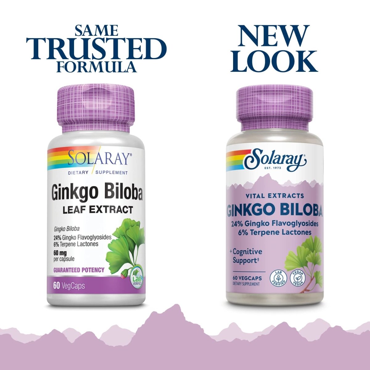 SOLARAY Ginkgo Biloba Extract, 60mg 60 Count