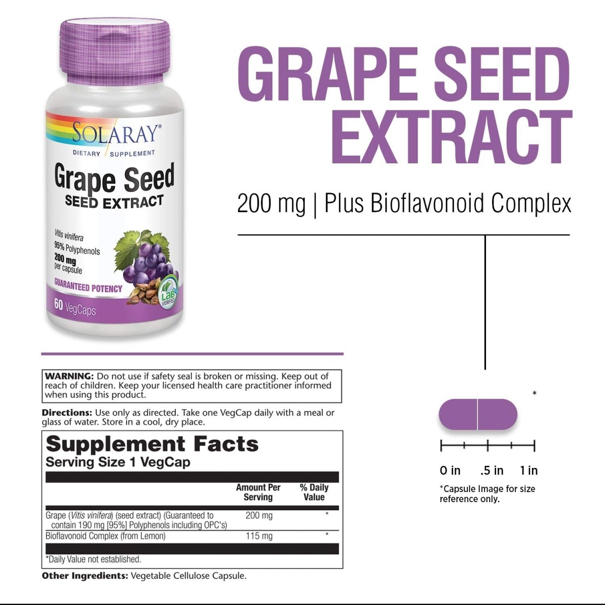 SOLARAY Grape Seed Extract 200 mg Plus Bioflavonoid Complex - 60 VegCaps - Healthy Cardiovascular & Blood Vessel