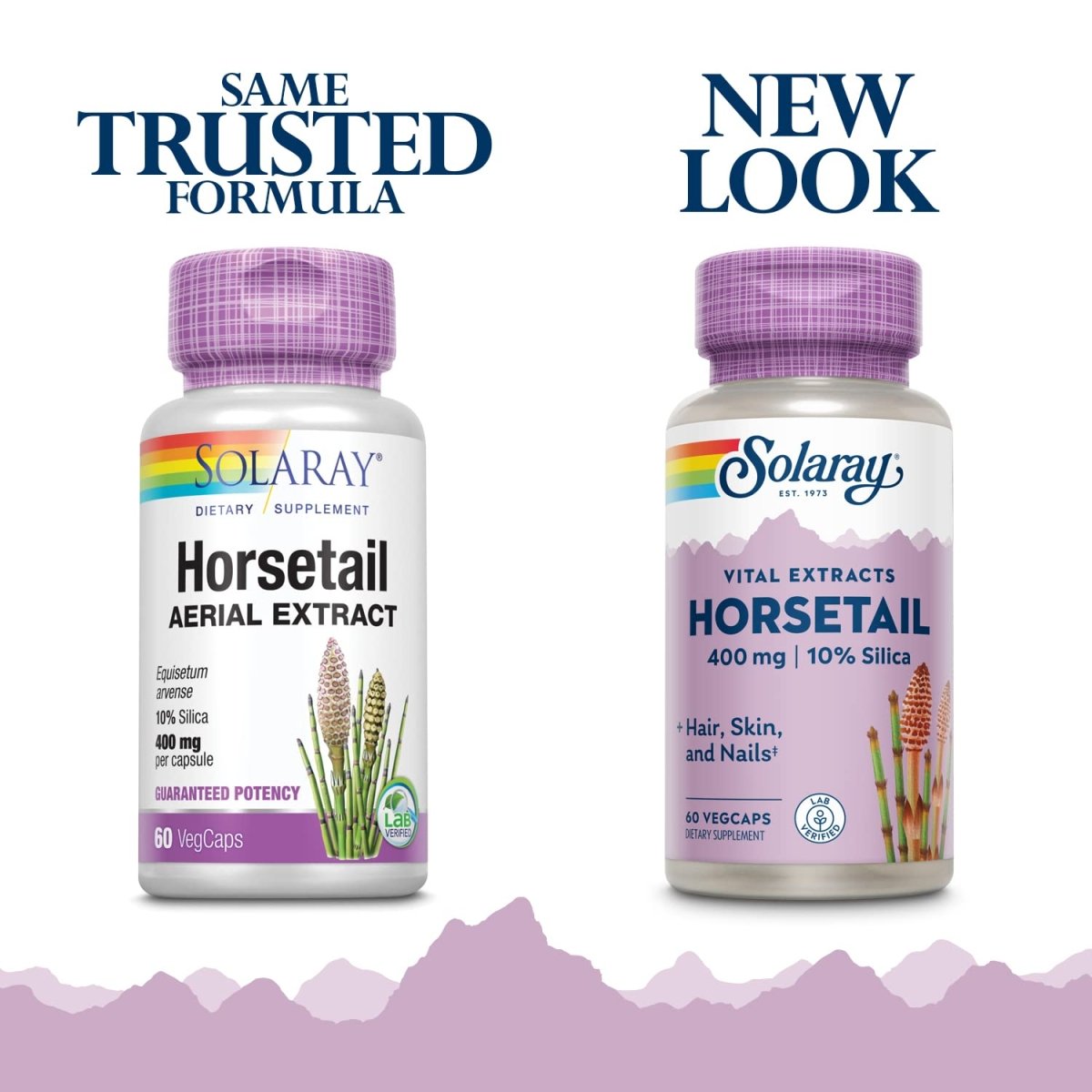SOLARAY Guaranteed Potency Horsetail Aerial Extract, Veg Cap (Btl-Plastic) 400mg 60ct