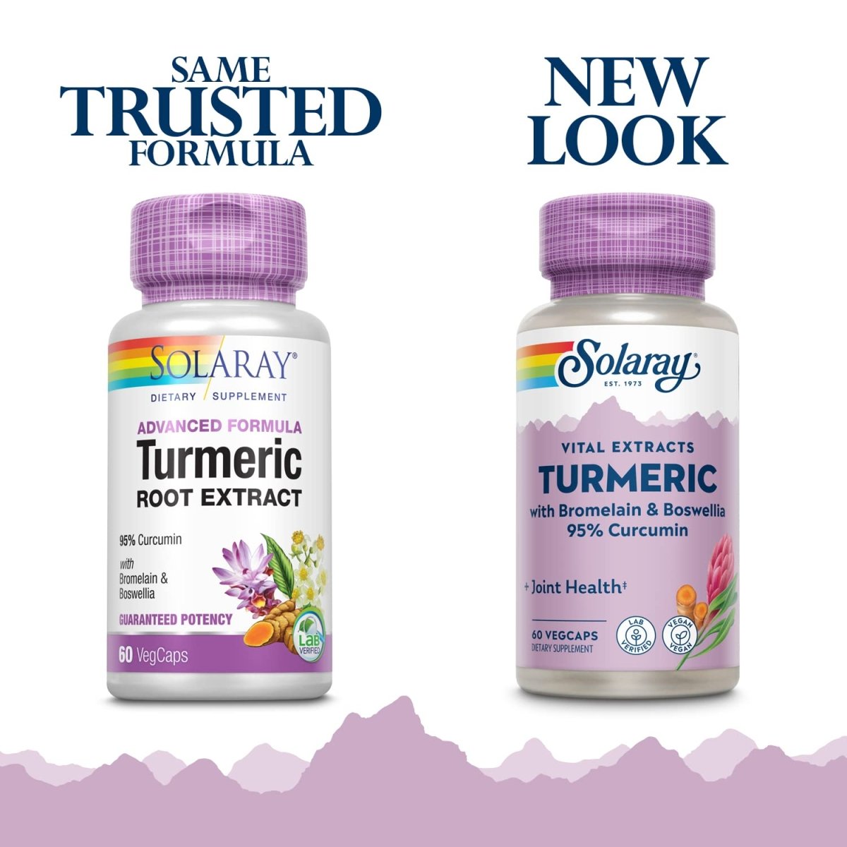 SOLARAY - Guaranteed Potency Turmeric Root Extract, 200 mg 60 Capsules