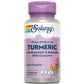 SOLARAY - Guaranteed Potency Turmeric Root Extract, 200 mg 60 Capsules
