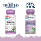 SOLARAY Guaranteed Potency Valerian Root Extract One Daily, Veg Cap (Btl-Plastic) 300mg 30ct