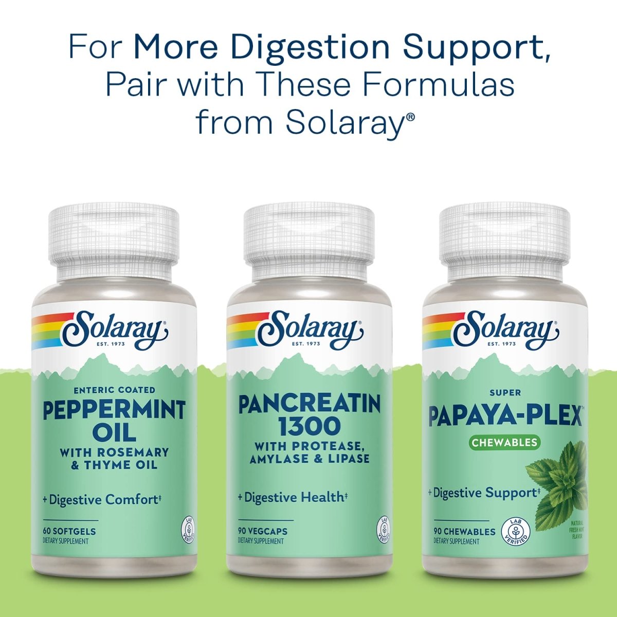 Solaray High Potency Betaine HCL with Pepsin - 250 VegCaps