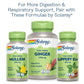 SOLARAY Marshmallow Root 480 mg Healthy Respiratory Function & Digestion Support Non-GMO & Vegan 100 VegCaps