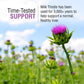 SOLARAY Milk Thistle Seed Extract 175mg Antioxidant Intended to Help Support a Normal, Healthy Liver Non-GMO & Vegan