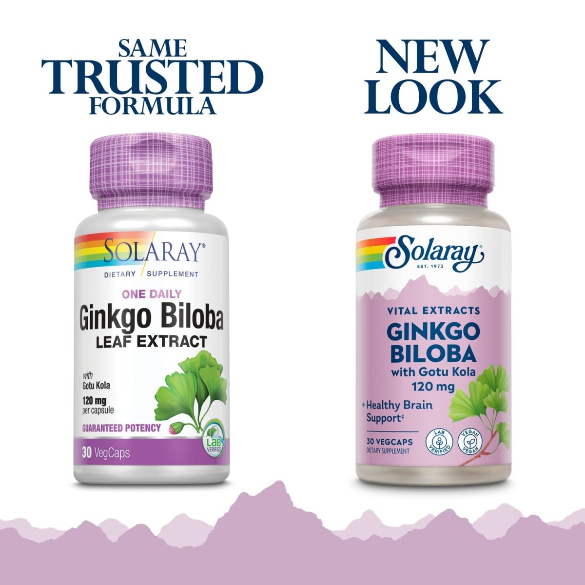 SOLARAY One Daily Ginkgo Biloba Leaf Extract (30 VegCaps)