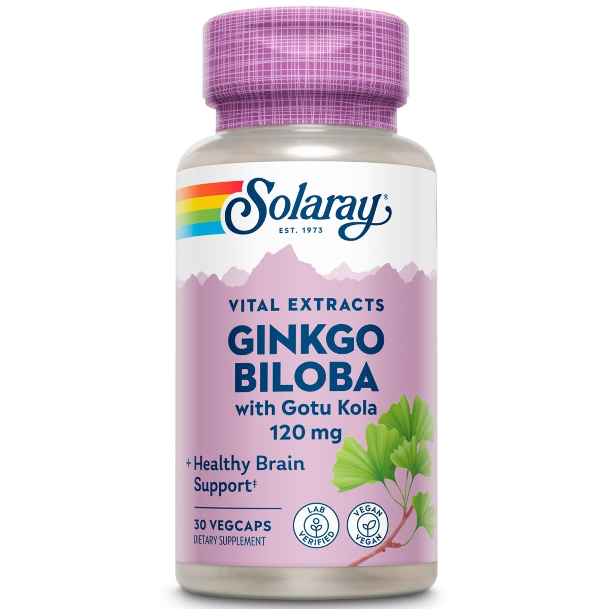 SOLARAY One Daily Ginkgo Biloba Leaf Extract (30 VegCaps)