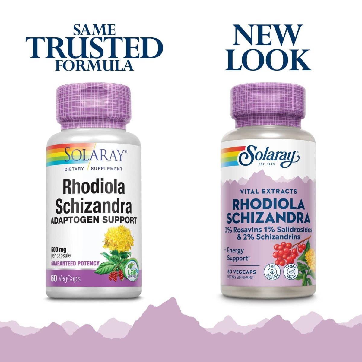 Solaray Rhodiola and Schizandra Supplement, 500 mg 60 Count