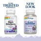 Solaray - Sambuactin Elderberry Extract, 60 Lozenges