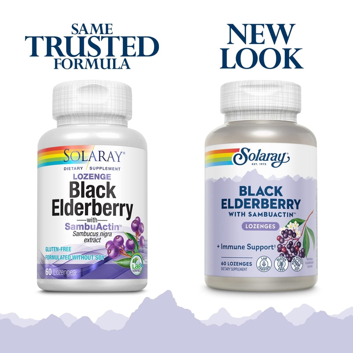 Solaray - Sambuactin Elderberry Extract, 60 Lozenges