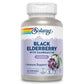 Solaray - Sambuactin Elderberry Extract, 60 Lozenges