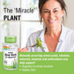 SOLARAY Super Aloe Vera Gel - 8000mg - 100 Capsules