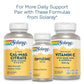 Solaray Vitamin B Complex 100 mg - Comprehensive B Vitamins for Healthy Energy and Vitality - 250 VegCaps