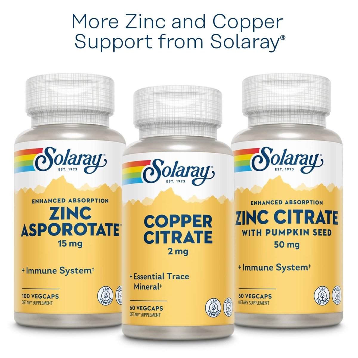 Solaray Zinc Copper Amino Acid Chelate - 100 VegCaps