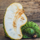 Soursop (Annona muricata)
