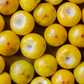 Nance (Byrsonima crassifolia)