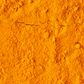 Turmeric, Orange (Curcuma longa)