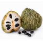 Sugar Apple 'Thai Lessard' (Annona squamosa L)