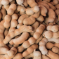 Tamarind, Tart (Tamarindus indica)