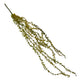 Trailing Succulent Necklace Plant