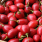Tree Tomato, Red (Cyphomandra betaceae)
