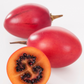 Tree Tomato, Red (Cyphomandra betaceae)