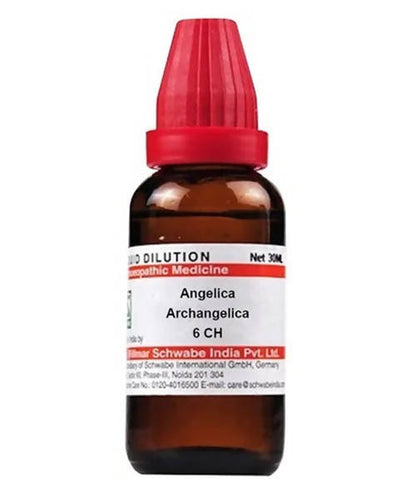 Dr. Willmar Schwabe India Angelica Archangelica Dilution
