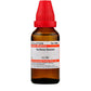Dr. Willmar Schwabe India Verbena Hastata Dilution