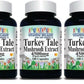 Turkey Tail/Tale Mushroom 4500mg Antioxidant Digestive Immune Support 3X180Caps