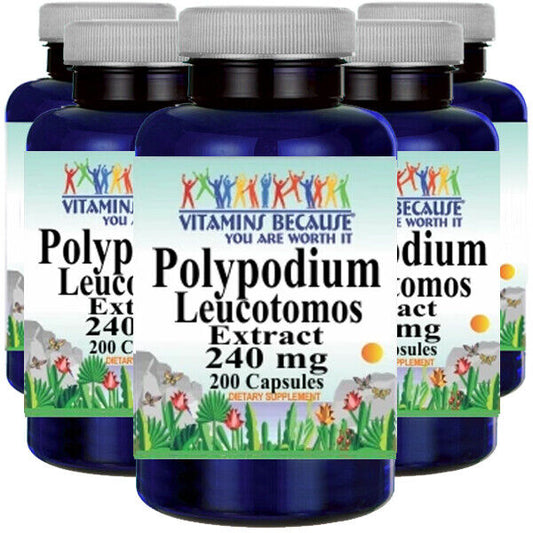 Polypodium Leucotomos Extract 240mg 5X200 Capsules | Vitamins Because | Skin UV & Antioxidant Support