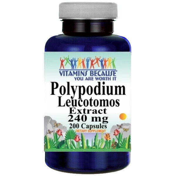 Polypodium Leucotomos Extract 240mg 200 Capsules | Vitamins Because | Skin UV & Antioxidant Support
