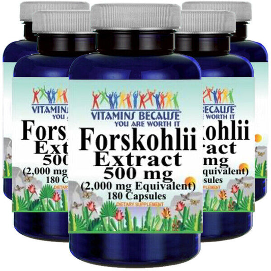 Coieus Forskohlii Extract Forskolin 2000mg 5X180 Caps