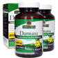 Damiana Leaf 800mg 2X90 Vegetarian Capsules Nature's Answer Turnera diffusa